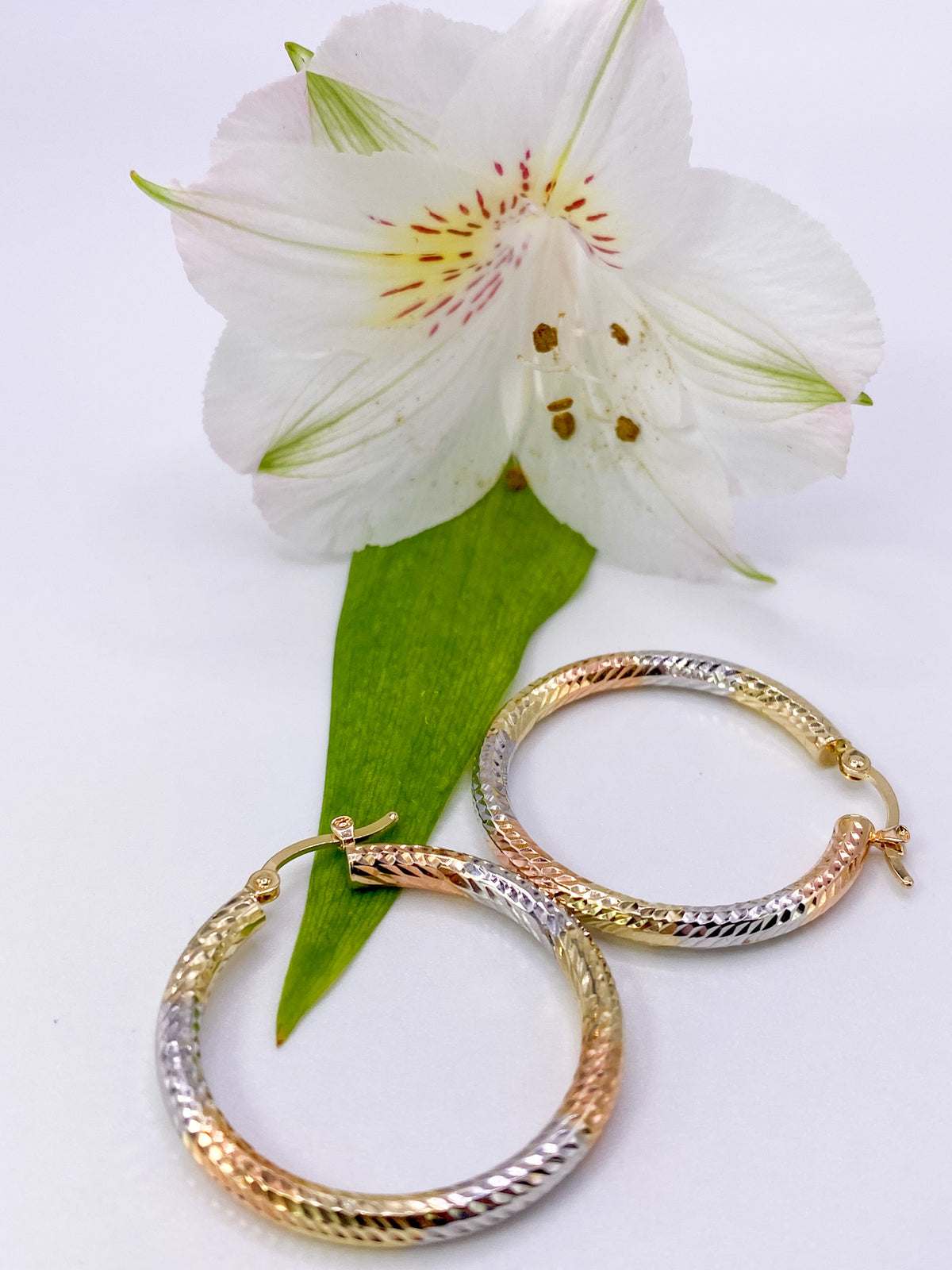 Diamond cut Hoop Earrings, 14K Solid Tri-color Gold