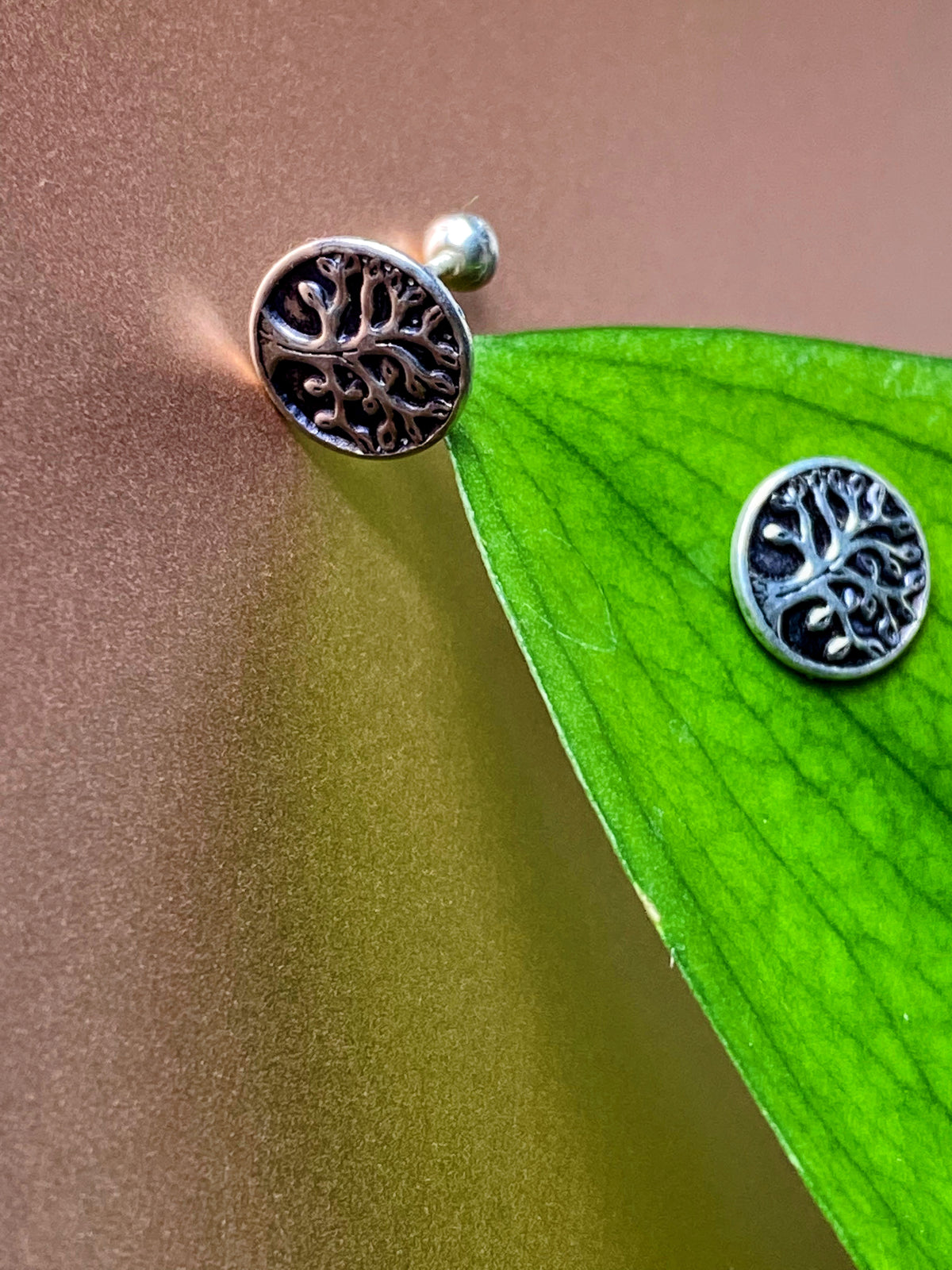 Tree of Life studs, 925 Sterling Silver Earrings